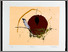 [thumbnail of 2003aaudryj.jpg]