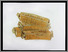 [thumbnail of 2002ahupen.jpg]