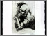 [thumbnail of 2002hauclaire.jpg]