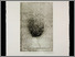 [thumbnail of 2002hbenedictr.jpg]