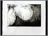 [thumbnail of 2002hrondeaum.jpg]