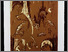 [thumbnail of 2001alandryy.jpg]