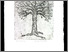 [thumbnail of 1998Xbrouillettej.jpg]