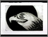 [thumbnail of 1999Xchenierm.jpg]