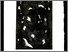 [thumbnail of 1998Xpasquale.jpg]