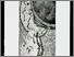 [thumbnail of 1997aguillemettem.jpg]