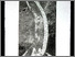[thumbnail of 1997aguillemettem.jpg]