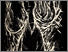 [thumbnail of 1997hgagnonk.jpg]