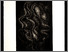 [thumbnail of 1995haudyl.jpg]