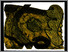 [thumbnail of 1995apilonl1.jpg]